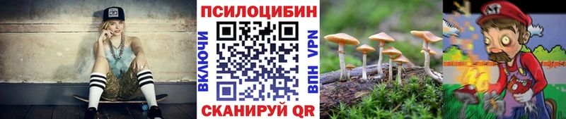 блэк спрут зеркало  Змеиногорск  Галлюциногенные грибы GOLDEN TEACHER 