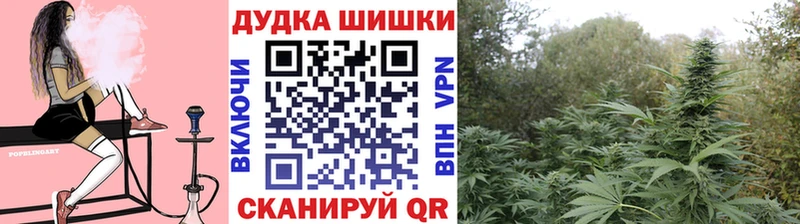 Марихуана SATIVA & INDICA Змеиногорск