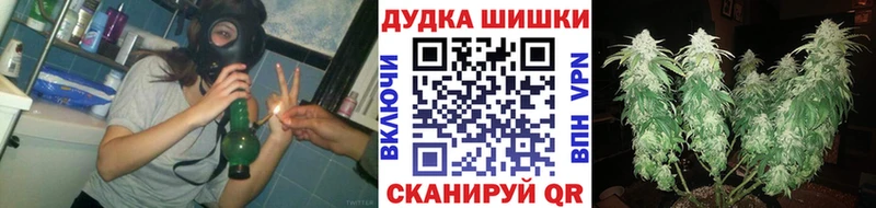 Конопля план  Змеиногорск 